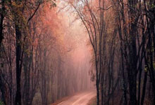 Kaiyun：打入全场唯一进球，多萨里当选国足vs沙特全场最佳.