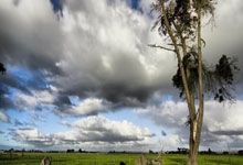 托里斯戴帽 巴塞5比0大胜晋级国王杯半决赛.