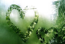 记者：塔雷米因肌肉疲劳将缺席本轮国米与乌迪内斯的比赛.